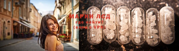 PSILOCYBIN Козельск