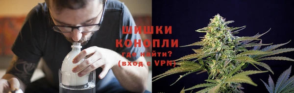 PSILOCYBIN Козельск