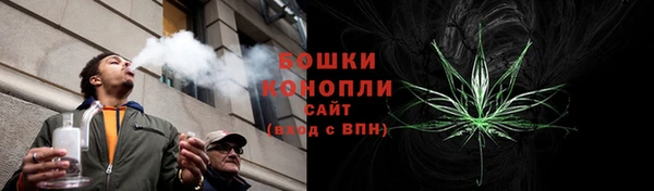 PSILOCYBIN Козельск