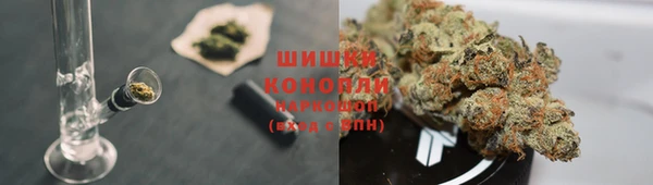 PSILOCYBIN Козельск
