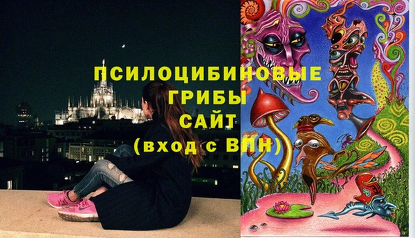 первитин Козловка