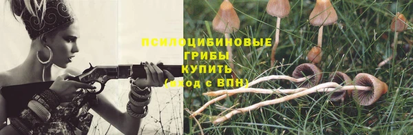 первитин Козловка