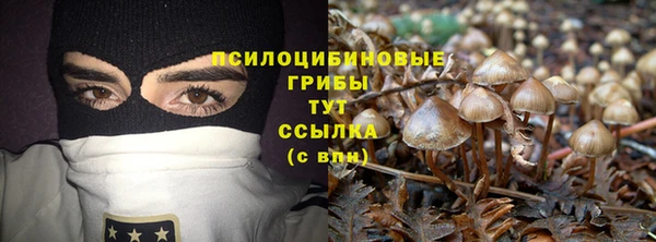 PSILOCYBIN Козельск